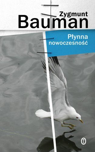 irka.com.pl | IRKA Instytut Rozwoju Kultury Alternatywnej | Płynna